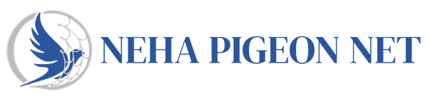 Neha Pigeon Net Bird Net Service